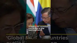 Group of countries outlines plan to stop Israel&rsquo;s genocide & occupation