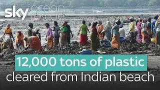12,000 tons of plastic cleared from Indian beach