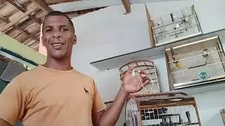 Essa dica é fundamental pra vc quer anda em roda ou torneio de papacapim 