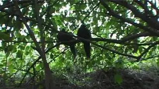 2001 Tenerife   Part 6