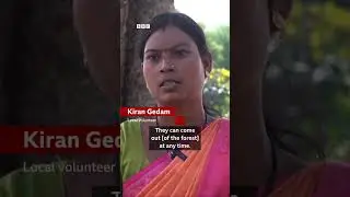 The women protecting children from tiger attacks | BBC News India
