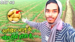Bht Din Bad Ajj Gaya Potato Field/Khet Mein 🌿 Daily life with Pranjal𐙚 
