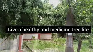Goodness of naturopathy treatment at AROGYA DHAM naturopathy center  Bithoor|| Kanpur