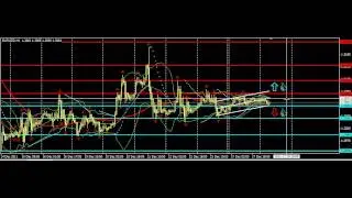 clip0179