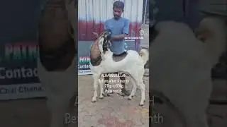 ALHAMDULILLAH Palai result 8169775719