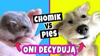 CHOMIK DECYDUJE VS PIES DECYDUJE O SLIME MAKEOVERS! Robię Slime Według Moich Zwierząt