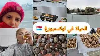 الحياة في دولة لوكسمبورغ🇱🇺 la vie au Luxembourg
