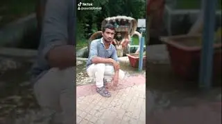 Titek pintu roy