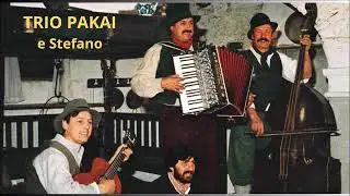 3 LA VOS DE ME VALADE