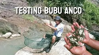 Berburu ikan nilem dan wader pakai bubu ANCO