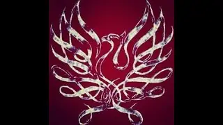 Skoko - Sorgenfrei (by Phoenix Records)