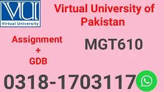 MGT610 Assignment Solution | VU Fall 2024 | StudyStore4