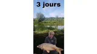 3 session en 1!premier vid&eacute;o!!! peche de la carpe