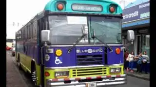 Blue Bird Cummins escape libre TZ
