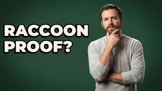 Are Bear-Resistant Containers Good For Raccoons?