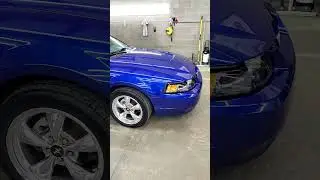 Mileage Mustang - Diamond Coating Package