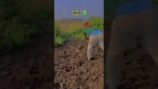#love #farming #farmer #kisan #jattlife #agriculture #kisana #kisani #kisaani #kissan #agric