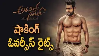 NTR28 Arvindh Sametha Overseas Business | #NTR 28 | #Trivikram Srinivas | Latest Telugu Cinema News