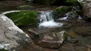 ASMR Gentle Mountain Stream Flow | Peaceful Water Video | Relaxing Water for Relaxing Tingles