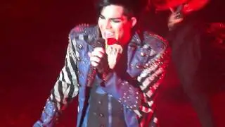 [HD] Adam Lambert - Strut LIVE @ Store Vega, Denmark - November 10 2010