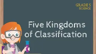 Grade 5 Science | Five Kingdom Classification System In Detail | Seekhtay Jao