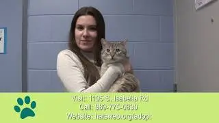 Adoptable Bark at the Humane Animal Treatment Society