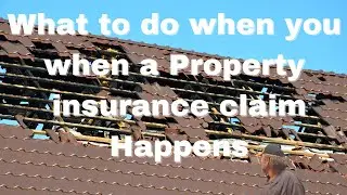 Insurance Help: Claim Reporting avoid Insurance Low Ball, Insurance Low Balling, Claim Denial (2020)