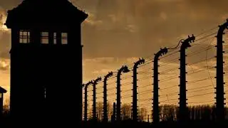 Schindler's list   John Williams   NL orchestra
