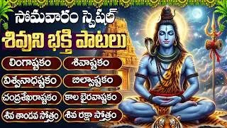 సోమవారం స్పెషల్ శివుని భక్తి పాటలు | Lingashtakam | Monday Special Shiva Bhakti Songs