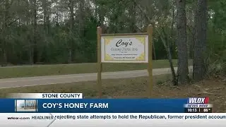 Coast Life: Coy's Honey Farm buzzing as spring starts to bloom