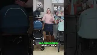 Mockingbird vs UppaBaby Vista V3: Same? Not Even Close