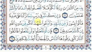 قراءة الصفحة رقم 4 - بداية البقرة - بالتحقيق والتدوير والحدر - اقرأوا التعليق الأول لو سمحتم