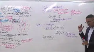 OAB 46 - 1 Etapa  - Professor Rafael Andrade- Direito Penal. ( Aula 1)
