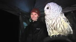 Winter Wonderland 2013