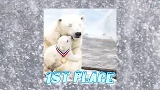 Lil Wintr - 1st Place (prod. gin$eng)