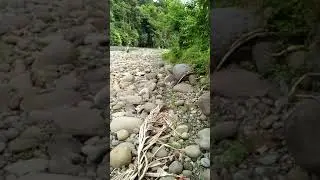 Inilah spot ikan masher atau semah di batang sangir solok selatan, mantap kali boss.