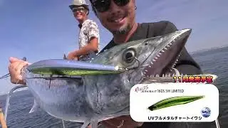 Realis Jerkbait 160S SW : Spanish Mackerel Minnow Casting Game