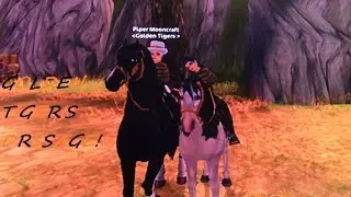 Golden Tiger's Dressage!!! Line 1