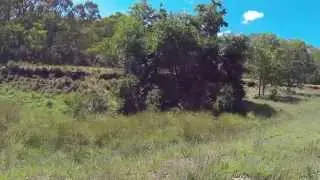 First Crossing Campground, Upper Turon - dogexplorer.com.au