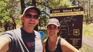 Bill Williams Mountain Trail - Williams, AZ