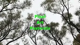 Vanyamba Pixel Art Pastorals album trailer