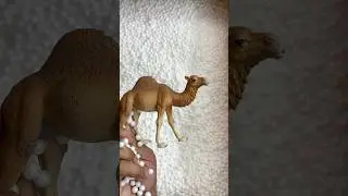 Desert animal camel toy
