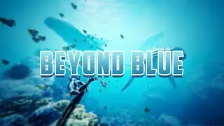 Let's Play Beyond Blue 03 - Orcas, Dolphins and Whales Feeding