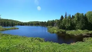 Lofte Lake. Arrowhead Trail Cook County, MN.