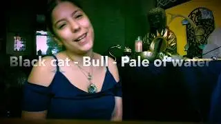 Cat-Bull-pale Of Water totem meanings