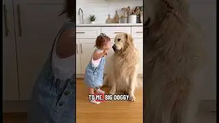 Cuteness Overload: Babies and Their Adorable Pets!#pets #shorts
