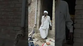 bulet pe jija 