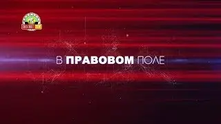 &laquo;В правовом поле&raquo;: ДЮА. Подготовка юристов