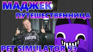 КУДА Я ПОПАЛ!? ПУТЕШЕСТВУЕМ В PET SIMULATOR 99