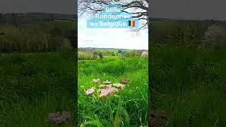 Balade En Belgique | belle randonn&eacute;e en wallonie | nature hike in beautiful trails